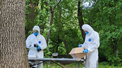 Знайшли скелети жінок, чоловіків та дітей: у Пужниках на Тернопільщині завершили "польові роботи"