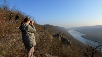 Великий зимовий облік птахів провели у Дністровському каньйоні. ФОТО