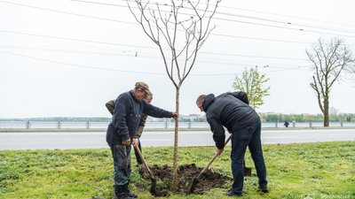 На озеленення Тернополя передбачили більше двох мільйонів гривень