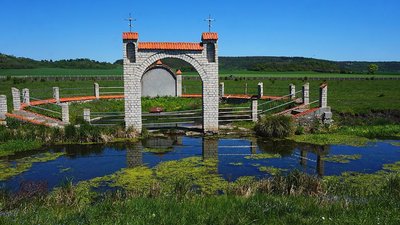 Гору Любовня, дерево Міцкевича і старезний бук передадуть під опіку громаді