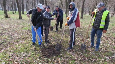 У парку на Тернопільщині висадили понад п’ятисот лип. ФОТО