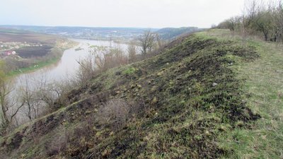 У природному парку на Тернопільщині хтось випалив схил гори, де ростуть рідкісні рослини. ФОТО