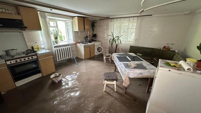 "Вода була на рівні столу, в холодильнику все плаває": наслідки потопу у Вишнівці. ФОТО