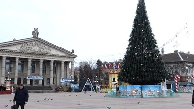 Після інциденту з конем у "зимовому містечку" заборонили розваги з тваринами. ВІДЕО