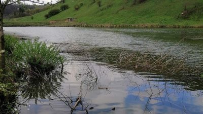 Два ставки на Тернопільщині повернули громаді