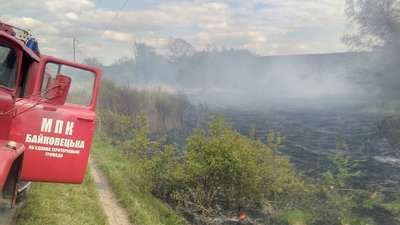 "Чому люди так безглуздо поводяться": під Тернополем хтось підпалив очерет, вогонь охопив величезну площу. ФОТО