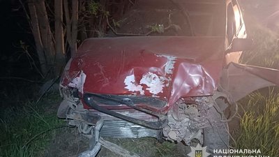 Автомобіль злетів з траси і врізався в дерево, постраждала дитина: п'яний водій скоїв ДТП на Тернопільщині