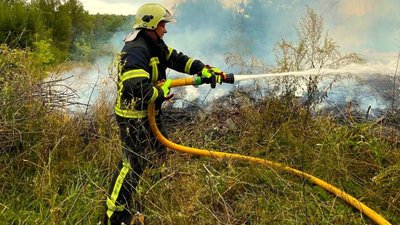 Згоріло понад гектар трави: рятувальники розповіли деталі масштабної пожежі у Тернополі. ФОТО