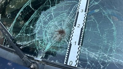 П'яний водій збив підлітка на пішохідному переході. ФОТО