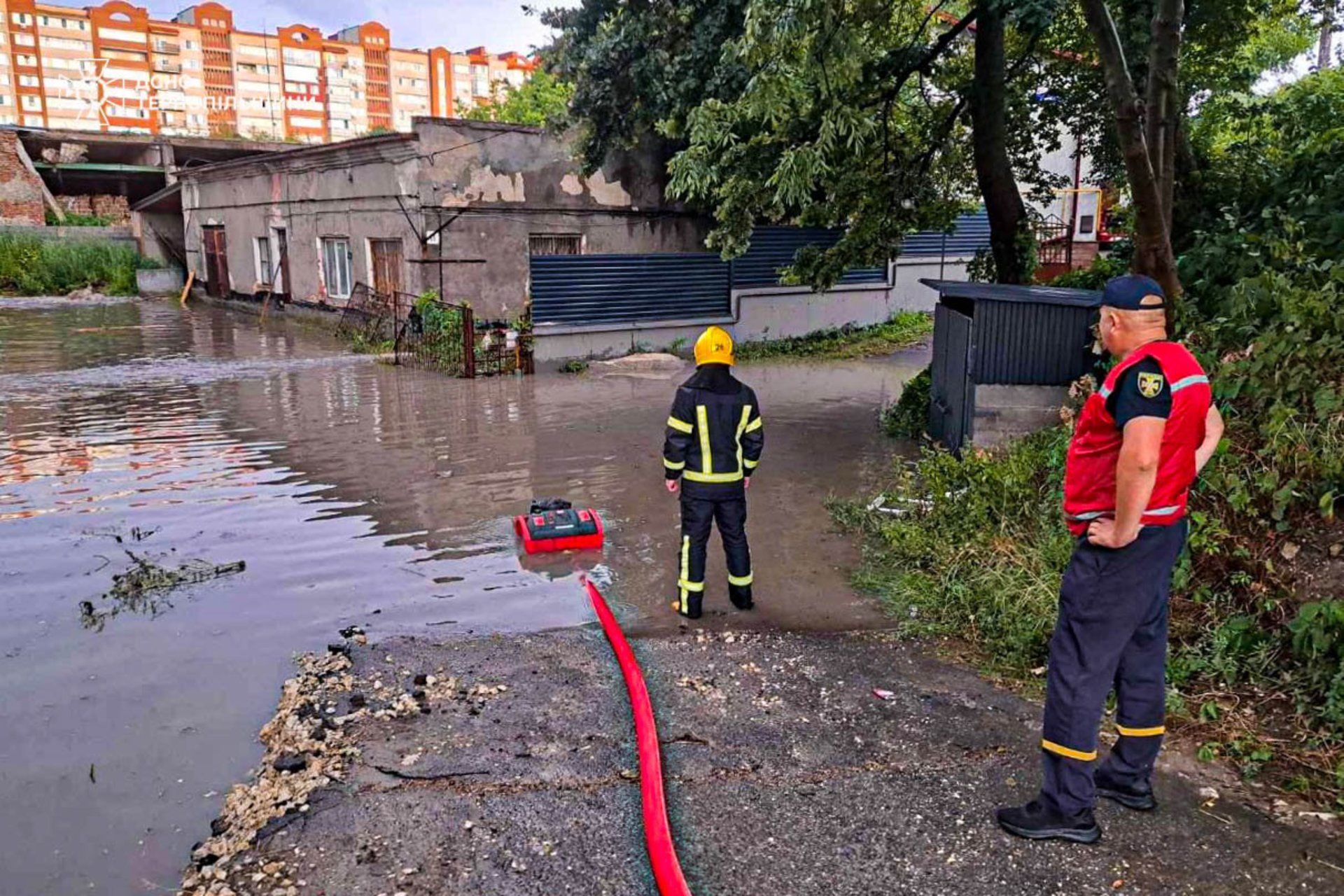 Підтопило будинки і повалило дерево: негода накоїла лиха у Тернополі. ФОТО