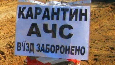 Смертельна африканська зараза дісталася Тернопільщини: трупи жертв знайшли у лісі