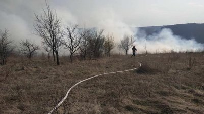 Тупість дорослих чи забавки дітей: на Тернопільщині підпалили електроопору. ФОТО