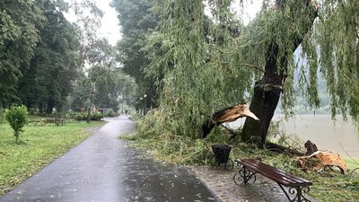 Негода накоїла лиха на Тернопільщині. ФОТО