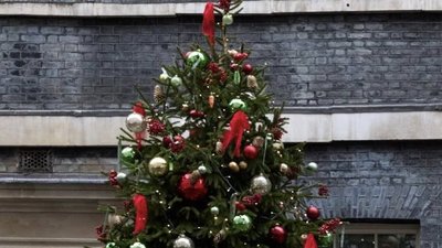 Жар-птиця тернопільських майстрів прикрашає ялинку на Даунінг-стріт