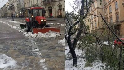 "Повалені дерева, пошкоджені лінії електропередач": тернополян попереджають про різке погіршення погоди