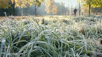 Перші заморозки передбачають на Тернопільщині: оголошено штормове попередження