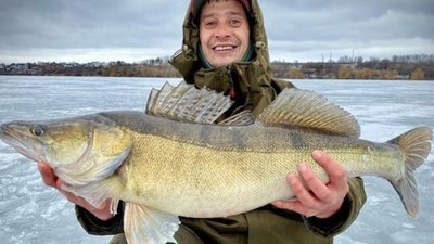 Година боротьби: на тернопільському ставі впіймали велетенську рибину. ФОТО