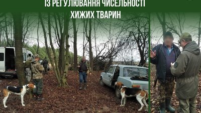 На Тернопільщині моніторять відстріл мисливцями хижаків