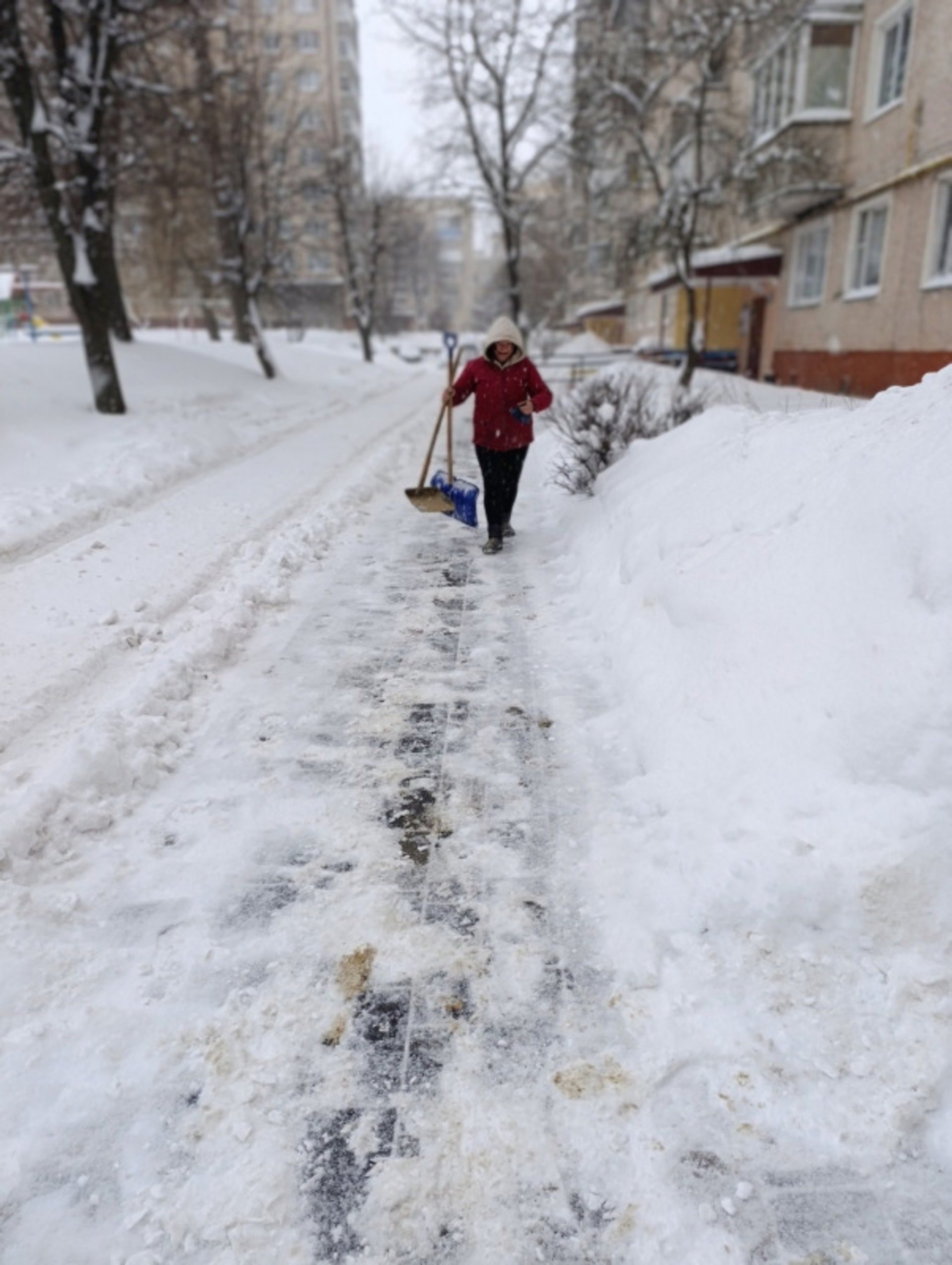 У Тернополі моніторять як ОСББ та управителі житлового фонду очищають двори і проїзди