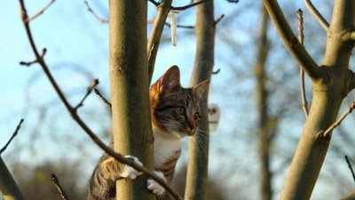 Якою буде погода на Тернопільщині у перші дні весни