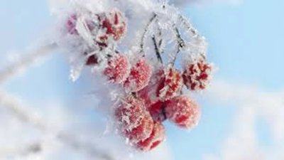 Новий тиждень розпочнеться з нової хвилі морозів