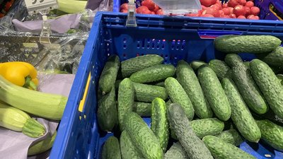 "Дешевше вже не буде": на тернопільських ринках впали ціни на огірки