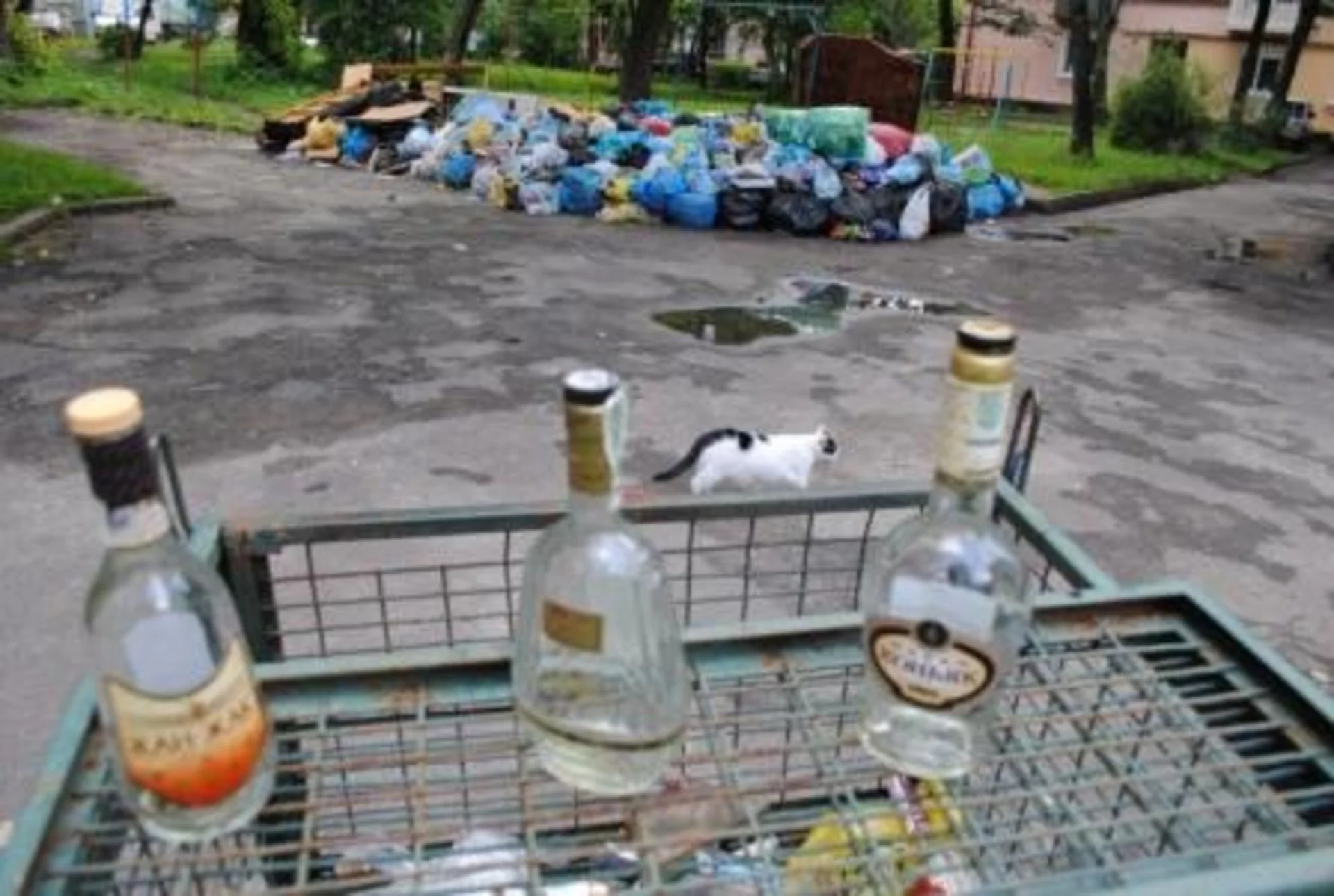 Сміттєва карма Сергія Надала
