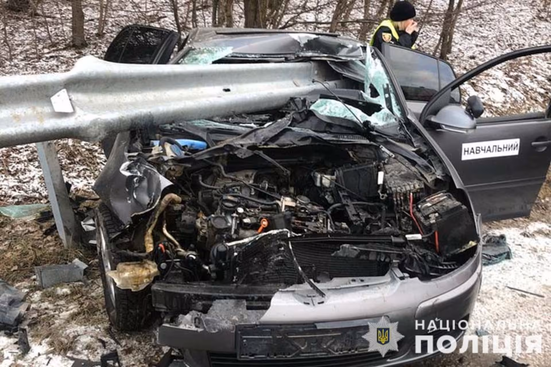 Відбійник простромив автівку наскрізь: жахлива ДТП на Тернопільщині. ВІДЕО