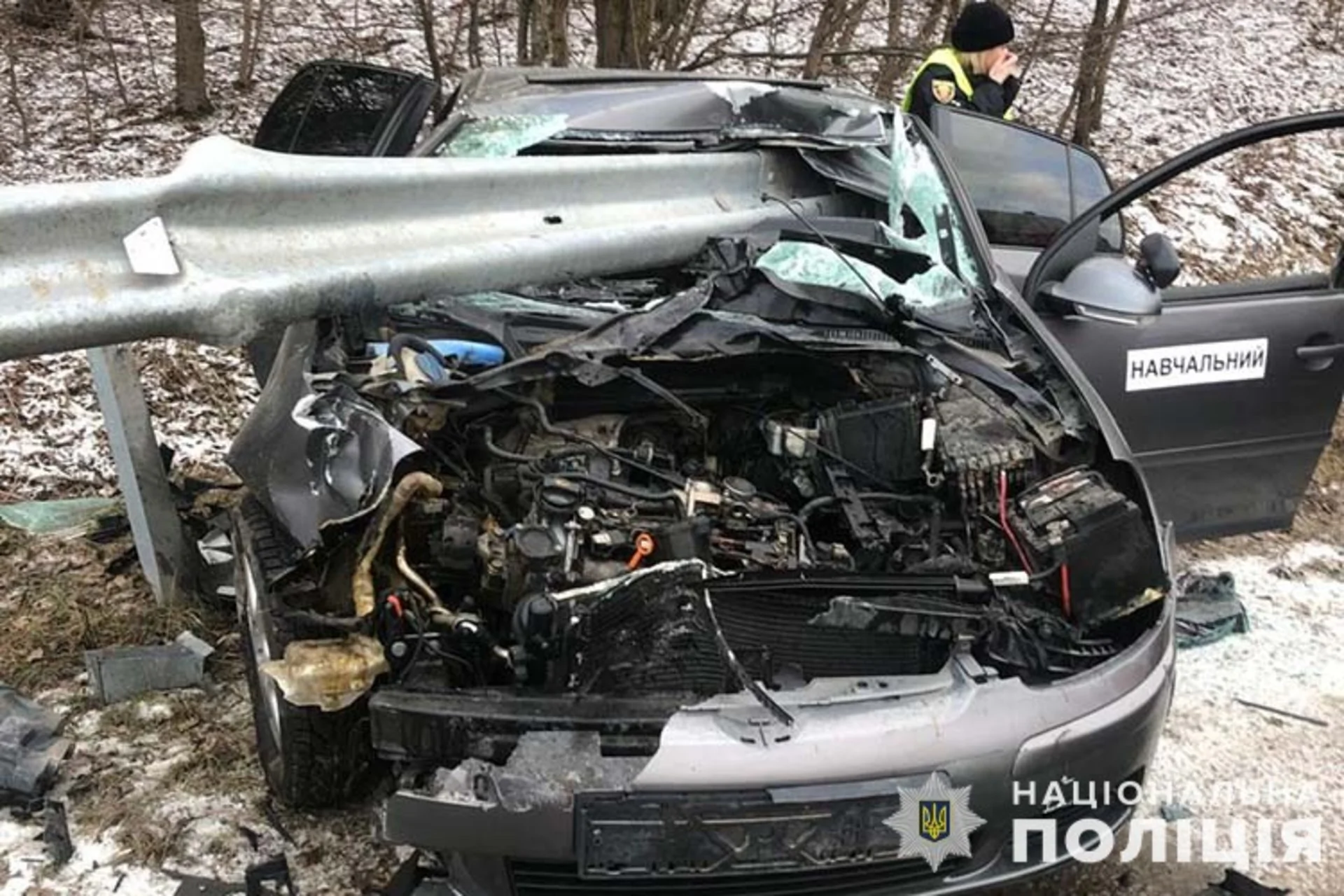 Відбійник простромив автівку наскрізь: жахлива ДТП на Тернопільщині. ВІДЕО