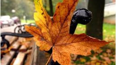 Іван Круп'як передбачив зиму в нашій області
