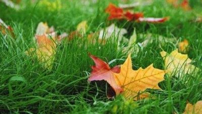 Якої погоди чекати на Тернопільщині у перший тиждень осені