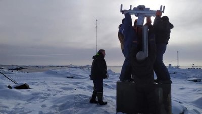 Бойові пінгвіни і не тільки: унікальна мандрівна виставка приїде до Тернополя