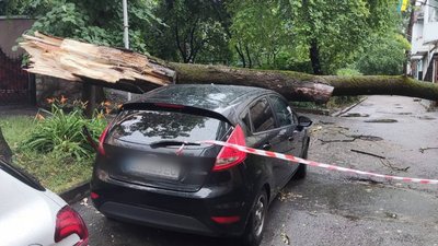 Валило дерева і затоплювало вулиці: що накоїла стихія у Тернополі. ФОТО