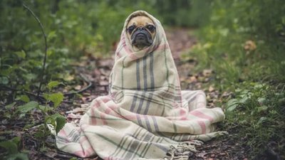 Цьогорічний травень виявився найхолоднішим за останні 40 років