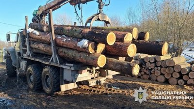 У заповіднику на Тернопільщині в промислових масштабах вирубували дерева