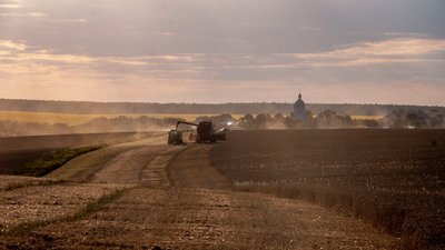 Перші 100 тисяч тонн зерна зібрали на Тернопільщині