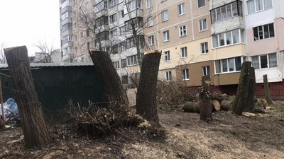 У Тернополі так "пізрізали" дерева, що залишилися пеньки. ФОТО