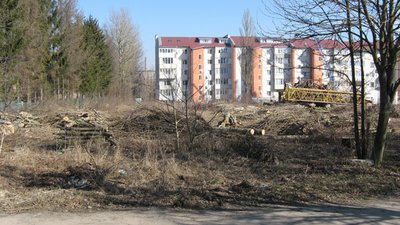 В Тернополі вирубали сквер під чергову будову. ФОТО