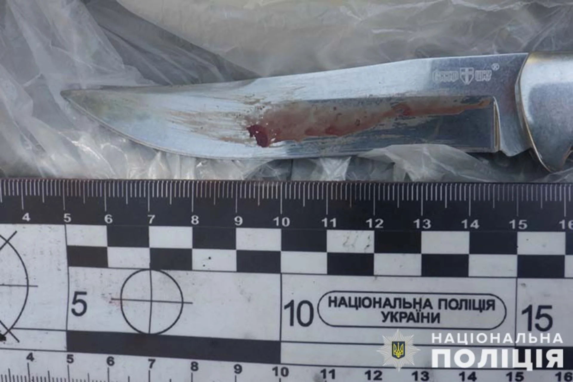 Відпочинок компанії у дворі будинку завершився кривавою різаниною. ФОТО 18+