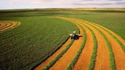 В Україні фіксують падіння цін на сільськогосподарську землю