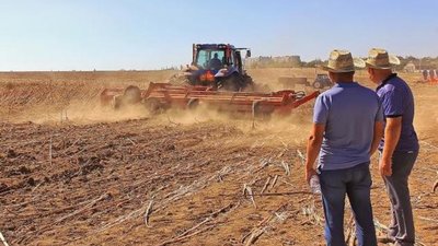 Шукають охочих працювати у сільському господарстві: яку зарплату пропонують?