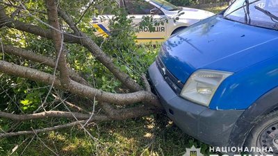 На Тернопільщині п'яний бовдур поцупив автомобіль і в'їхав у дерево на сусідній вулиці. ФОТО