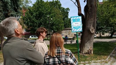 Ботанічна пам'ятка у Чорткові перебуває в аварійному стані