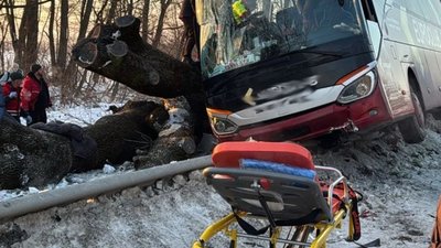 Їхали з Австрії - потрапили в ДТП на Львівщині