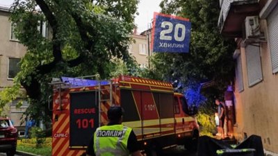 Під час сильної зливи у центрі Тернополя впало дерево. ВІДЕО