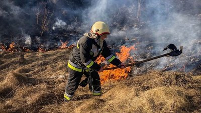 З кожним днем гірше: масштаби неподобства, яке чинять мешканці області, вражають і обурюють. ФОТО