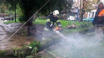 Валило дерева і підтоплювало будинки: що накоїла негода на Тернопільщині. ФОТО