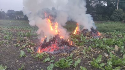 Неподалік Тернополя на гарячому спіймали господарів, котрі труїли всіх навколо димом. ФОТО