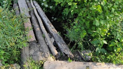 Упав з кладки і втопився: ще одна трагедія на воді