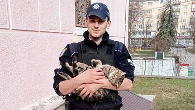 "Доклавши зусиль, розігнули прути": тернопільські патрульні героїчно врятували кошеня. ФОТО